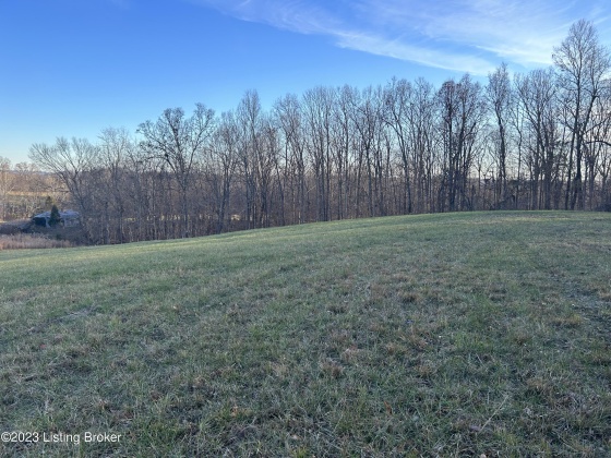 9396 629 Hwy, Falls Of Rough, Kentucky 40119, ,Land,For Sale,629,1651467