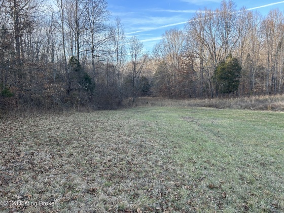 9396 629 Hwy, Falls Of Rough, Kentucky 40119, ,Land,For Sale,629,1651467