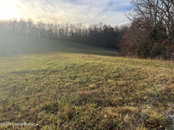 9396 629 Hwy, Falls Of Rough, Kentucky 40119, ,Land,For Sale,629,1651467