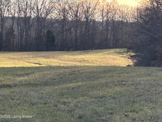 9396 629 Hwy, Falls Of Rough, Kentucky 40119, ,Land,For Sale,629,1651467