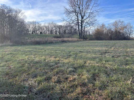 9396 629 Hwy, Falls Of Rough, Kentucky 40119, ,Land,For Sale,629,1651467