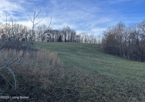 9396 629 Hwy, Falls Of Rough, Kentucky 40119, ,Land,For Sale,629,1651467