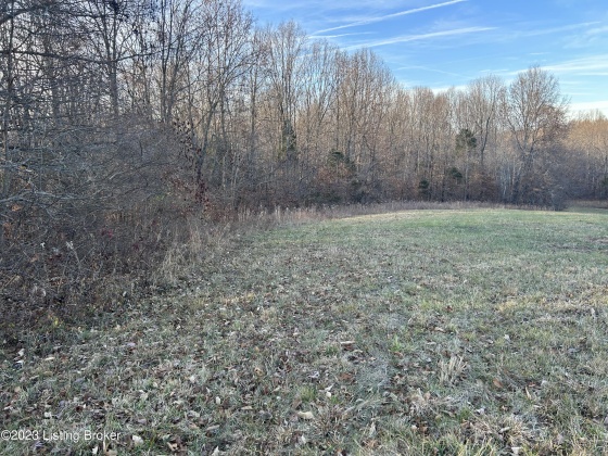 9396 629 Hwy, Falls Of Rough, Kentucky 40119, ,Land,For Sale,629,1651467