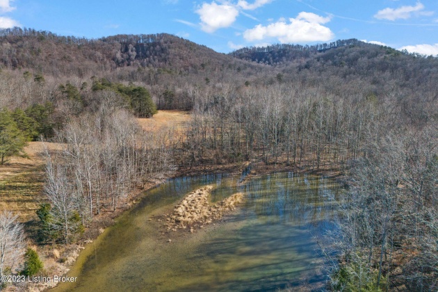 1480 Pine Tavern Rd, Lebanon Junction, Kentucky 40150, ,Land,For Sale,Pine Tavern,1651534