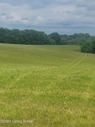 Lot 15 Morris Clark Rd, Waddy, Kentucky 40076, ,Land,For Sale,Morris Clark,1651550