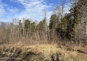 Lot 7B Dogwood Estates, Bedford, Kentucky 40045, ,Land,For Sale,Dogwood Estates,1651701