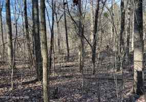 Lot 7B Dogwood Estates, Bedford, Kentucky 40045, ,Land,For Sale,Dogwood Estates,1651701