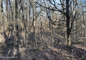 Lot 7B Dogwood Estates, Bedford, Kentucky 40045, ,Land,For Sale,Dogwood Estates,1651701