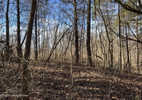 Lot 7B Dogwood Estates, Bedford, Kentucky 40045, ,Land,For Sale,Dogwood Estates,1651701