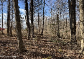 Lot 7B Dogwood Estates, Bedford, Kentucky 40045, ,Land,For Sale,Dogwood Estates,1651701