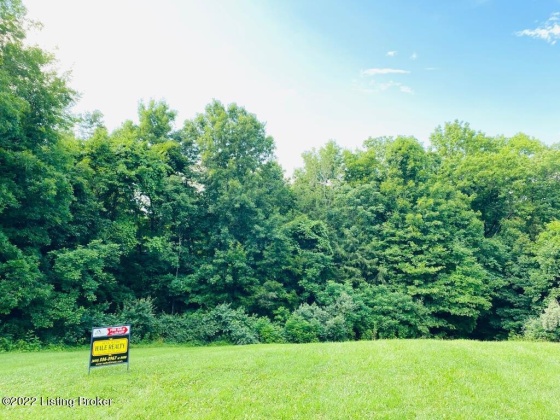 #9 Heavenly Way, Willisburg, Kentucky 40078, ,Land,For Sale,Heavenly,1651729