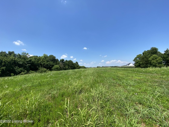 Lot 27 Cheltenham Rd, Finchville, Kentucky 40022, ,Land,For Sale,Cheltenham,1651754