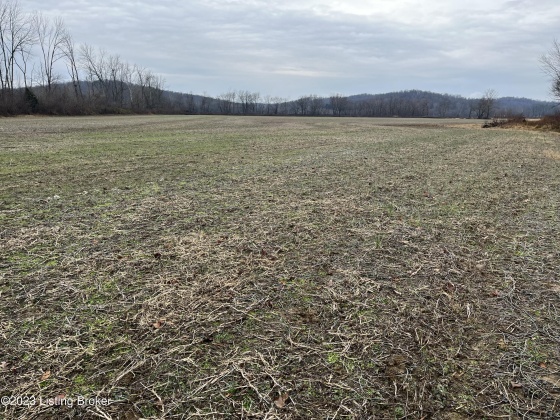 000 Beaver Dam Rd, Caneyville, Kentucky 42721, ,Land,For Sale,Beaver Dam,1651756