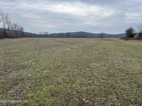 000 Beaver Dam Rd, Caneyville, Kentucky 42721, ,Land,For Sale,Beaver Dam,1651756