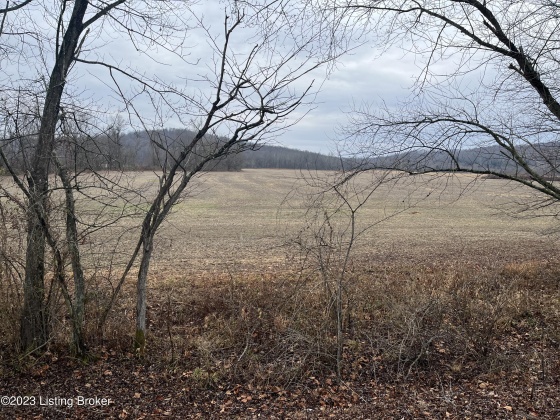 000 Beaver Dam Rd, Caneyville, Kentucky 42721, ,Land,For Sale,Beaver Dam,1651756