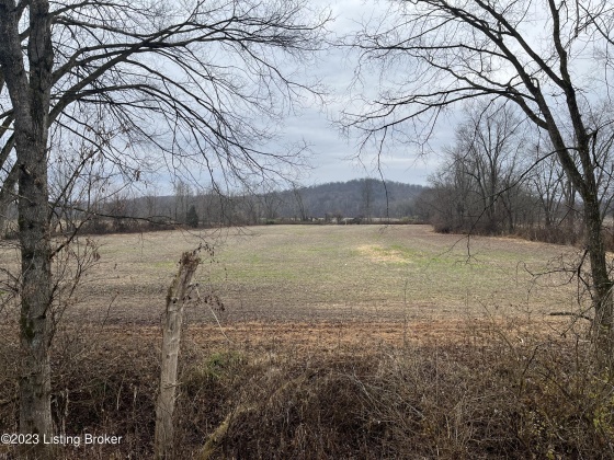 000 Beaver Dam Rd, Caneyville, Kentucky 42721, ,Land,For Sale,Beaver Dam,1651756