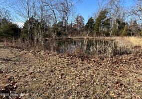 1343 Rosetta Corners Rd, Irvington, Kentucky 40146, ,Land,For Sale,Rosetta Corners,1651793