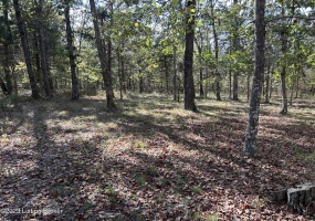 1343 Rosetta Corners Rd, Irvington, Kentucky 40146, ,Land,For Sale,Rosetta Corners,1651793