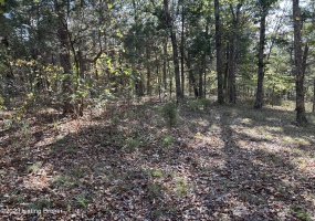 1343 Rosetta Corners Rd, Irvington, Kentucky 40146, ,Land,For Sale,Rosetta Corners,1651793