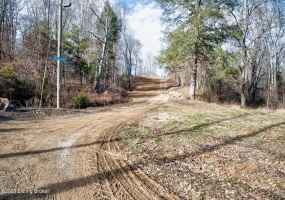 109 Dewey McWhorter Rd, Booneville, Kentucky 41314, ,Land,For Sale,Dewey McWhorter,1651833