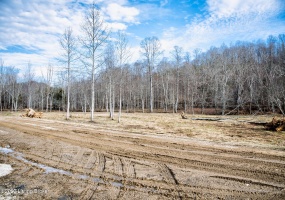 109 Dewey McWhorter Rd, Booneville, Kentucky 41314, ,Land,For Sale,Dewey McWhorter,1651833