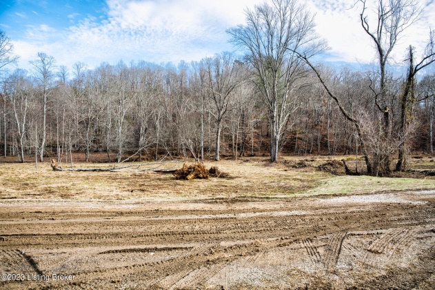 109 Dewey McWhorter Rd, Booneville, Kentucky 41314, ,Land,For Sale,Dewey McWhorter,1651833