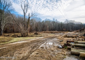 109 Dewey McWhorter Rd, Booneville, Kentucky 41314, ,Land,For Sale,Dewey McWhorter,1651833