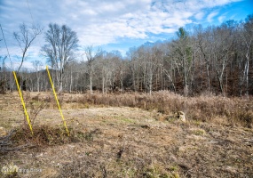 109 Dewey McWhorter Rd, Booneville, Kentucky 41314, ,Land,For Sale,Dewey McWhorter,1651833