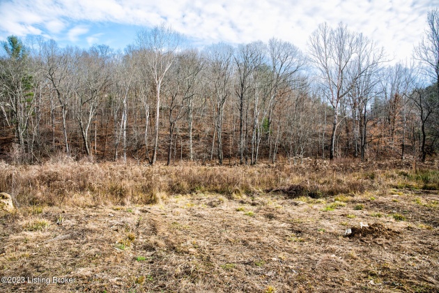 109 Dewey McWhorter Rd, Booneville, Kentucky 41314, ,Land,For Sale,Dewey McWhorter,1651833