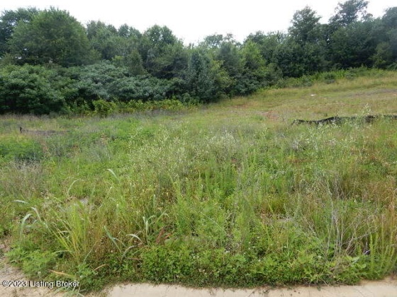 Lot 69 Gaither Farm Rd, Shepherdsville, Kentucky 40165, ,Land,For Sale,Gaither Farm,1651831