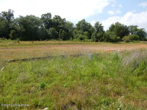 Lot 69 Gaither Farm Rd, Shepherdsville, Kentucky 40165, ,Land,For Sale,Gaither Farm,1651831