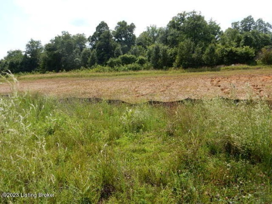 Lot 69 Gaither Farm Rd, Shepherdsville, Kentucky 40165, ,Land,For Sale,Gaither Farm,1651831