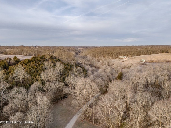 711 Little Beech Ln, Mt Eden, Kentucky 40046, ,Land,For Sale,Little Beech,1652348