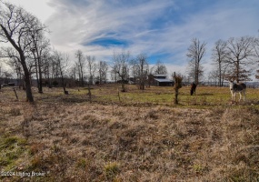 674 Mountain Ln, Vine Grove, Kentucky 40175, ,Land,For Sale,Mountain,1652386