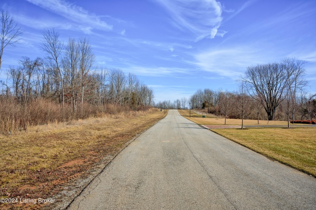 3 Enclave Dr, Goshen, Kentucky 40026, ,Land,For Sale,Enclave,1652433