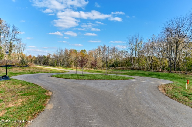 3 Enclave Dr, Goshen, Kentucky 40026, ,Land,For Sale,Enclave,1652433