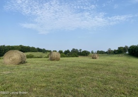 251 Wesley Miler Ln, Harrodsburg, Kentucky 40330, ,Land,For Sale,Wesley Miler,1652467