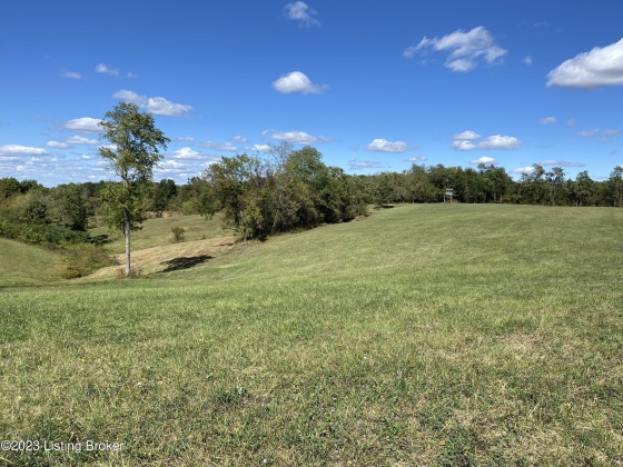 251 Wesley Miler Ln, Harrodsburg, Kentucky 40330, ,Land,For Sale,Wesley Miler,1652467