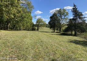 251 Wesley Miler Ln, Harrodsburg, Kentucky 40330, ,Land,For Sale,Wesley Miler,1652467