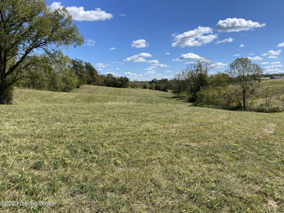 251 Wesley Miler Ln, Harrodsburg, Kentucky 40330, ,Land,For Sale,Wesley Miler,1652467