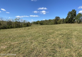 251 Wesley Miler Ln, Harrodsburg, Kentucky 40330, ,Land,For Sale,Wesley Miler,1652467