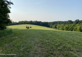 251 Wesley Miler Ln, Harrodsburg, Kentucky 40330, ,Land,For Sale,Wesley Miler,1652467