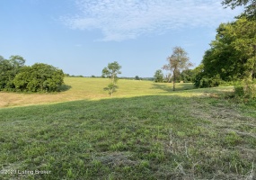 251 Wesley Miler Ln, Harrodsburg, Kentucky 40330, ,Land,For Sale,Wesley Miler,1652467