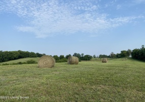 251 Wesley Miler Ln, Harrodsburg, Kentucky 40330, ,Land,For Sale,Wesley Miler,1652467