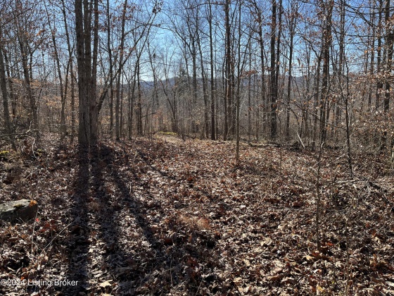 00 Olaton Rd, Falls Of Rough, Kentucky 40119, ,Land,For Sale,Olaton,1652628