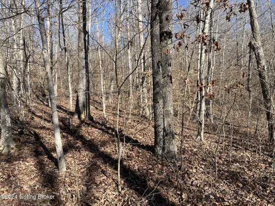 00 Olaton Rd, Falls Of Rough, Kentucky 40119, ,Land,For Sale,Olaton,1652628