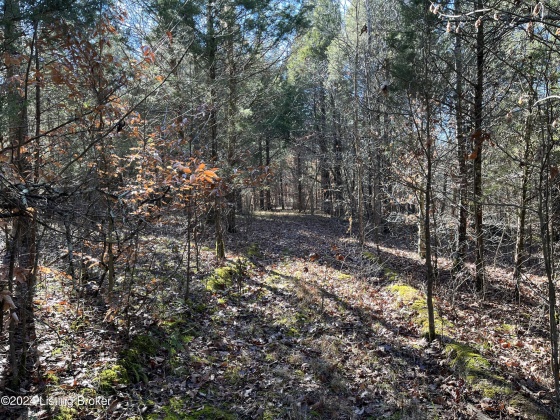 00 Olaton Rd, Falls Of Rough, Kentucky 40119, ,Land,For Sale,Olaton,1652628