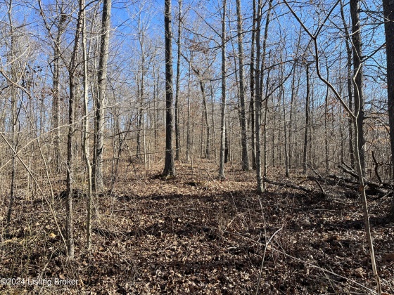 00 Olaton Rd, Falls Of Rough, Kentucky 40119, ,Land,For Sale,Olaton,1652628