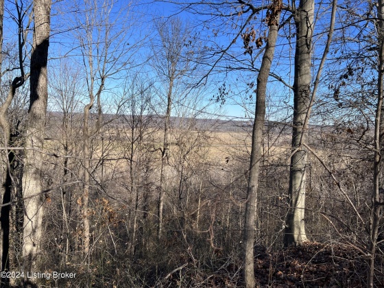 00 Olaton Rd, Falls Of Rough, Kentucky 40119, ,Land,For Sale,Olaton,1652628