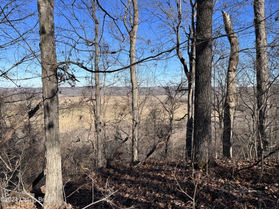 00 Olaton Rd, Falls Of Rough, Kentucky 40119, ,Land,For Sale,Olaton,1652628